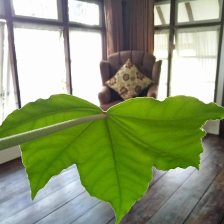 Rumah Pakankamih Bukittinggi Eksteriør billede