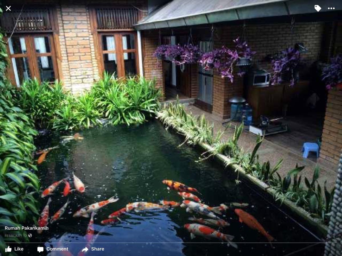 Rumah Pakankamih Bukittinggi Eksteriør billede