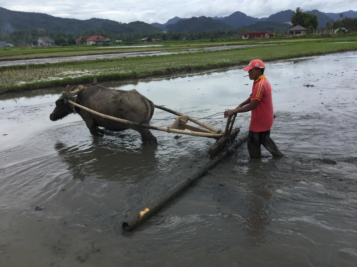 Rumah Pakankamih Bukittinggi Eksteriør billede